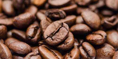 Orange Monkey Flavored Coffee – 16oz Ground NEW FLAVOR!!