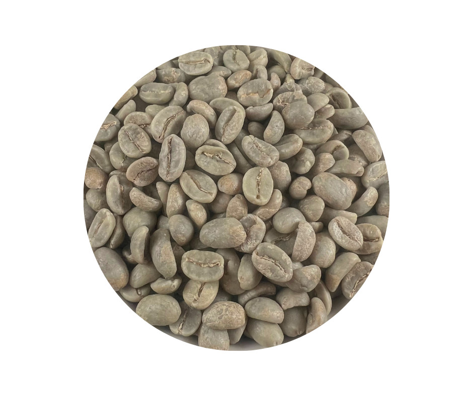 Colombia SUPREMO – Unroasted Coffee Bean – 2, 5, 10, 20lb bag Single Origin