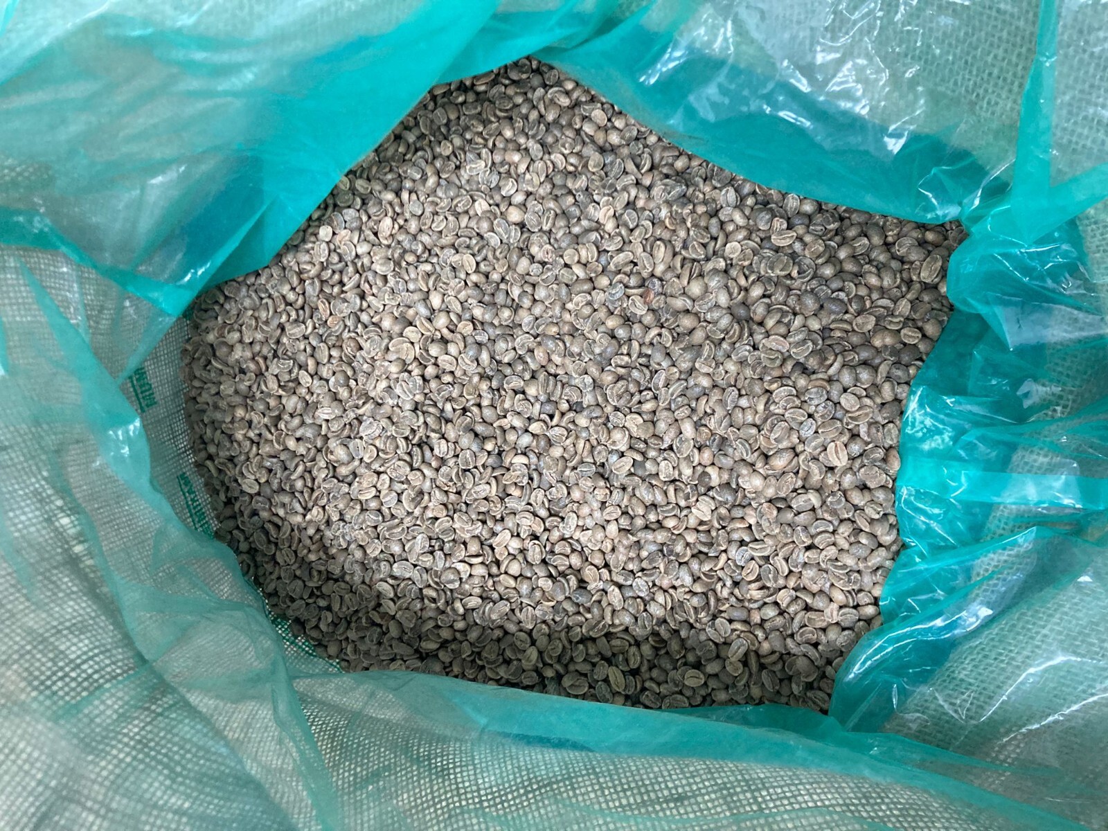 5 LB HAITI HATTIAN GREEN UNROASTED COFFEE BEANS FIVE POUND – ARABICA