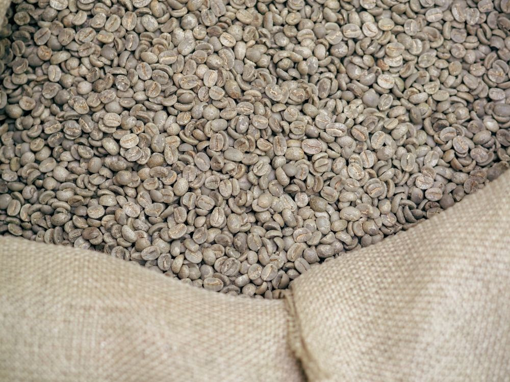 5 POUNDS green coffee beans – your choice of beans – MANY to choose from