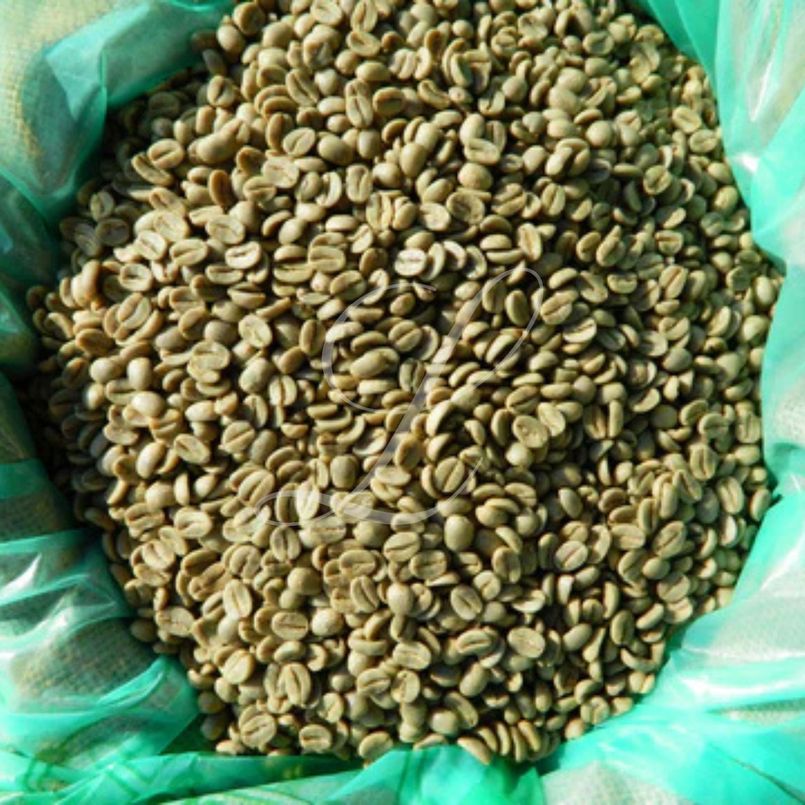 100% Kona Extra Fancy Coffee – 1 lb, Authentic, Roasted to Order or Green Beans