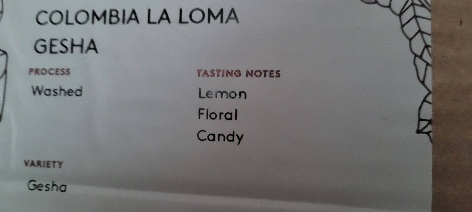 Columbian La Loma GEISHA Coffee Beans Roasted To Order Muth Rosten Haus 8oz