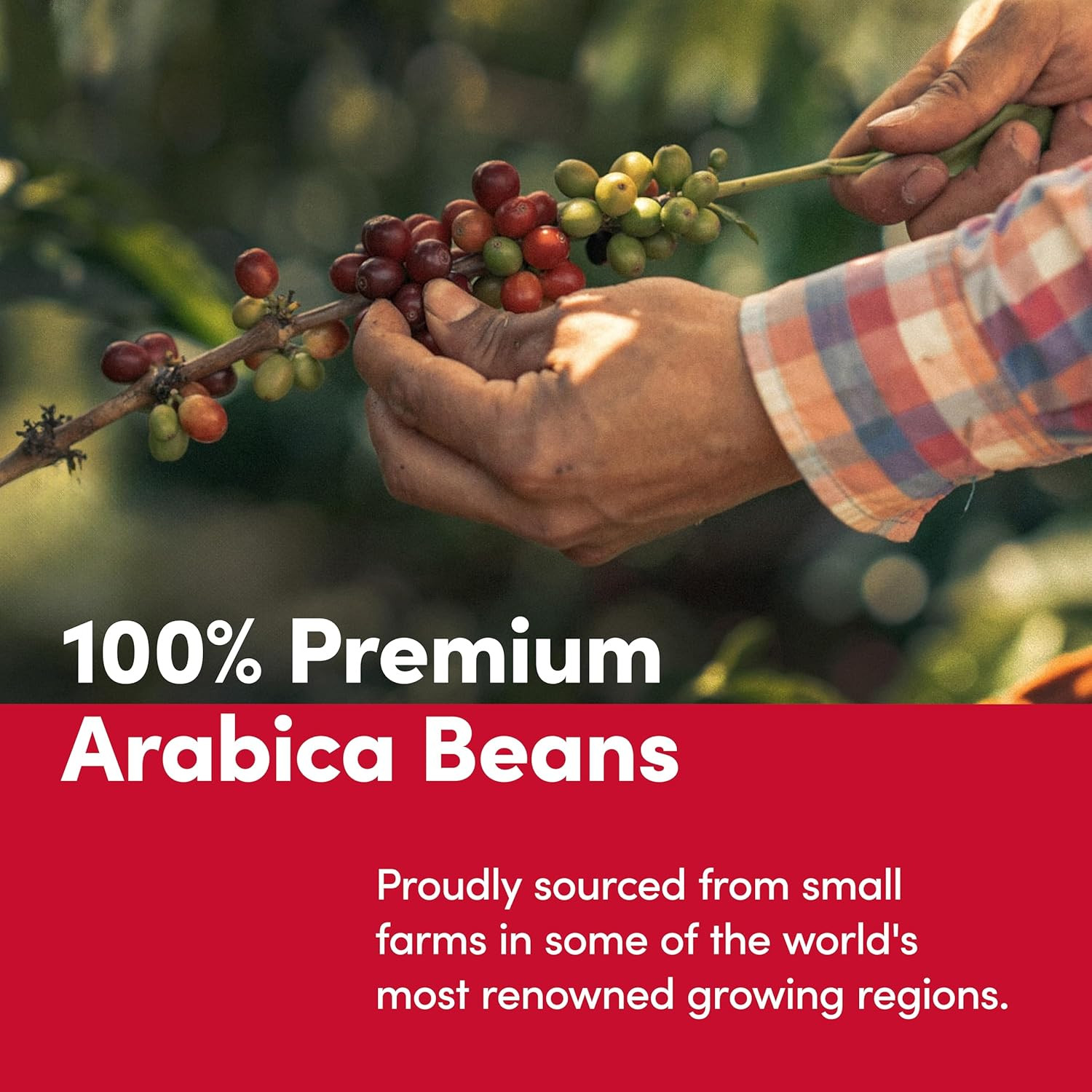 Whole Bean Original, Medium Roast Coffee, Made with 100% Arabica Beans, 12 Ounce