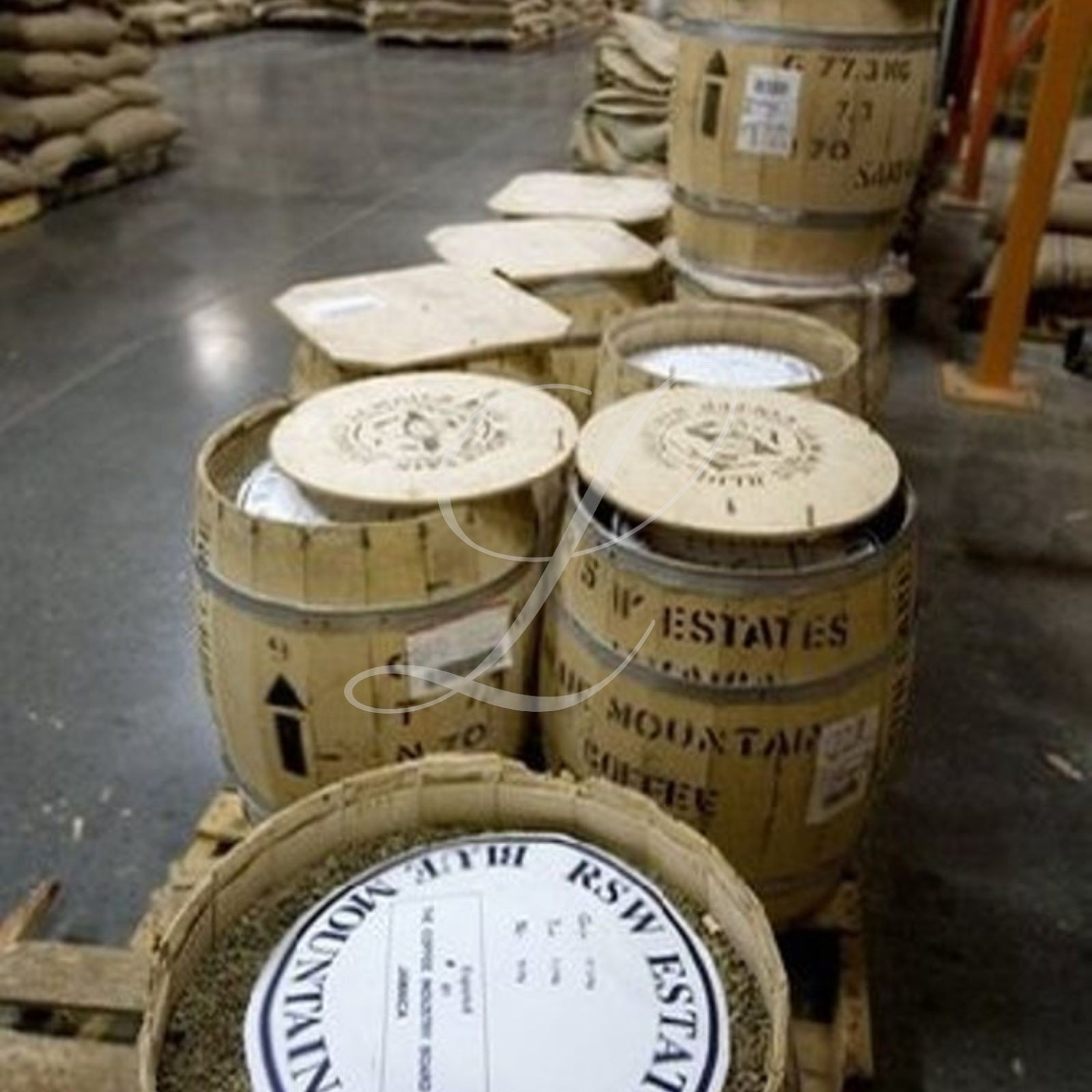 20 lbs of Certified ORGANIC Jamaica Blue Mountain Coffee ~ Customize Your Order!
