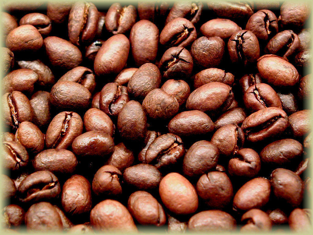PAPUA NEW GUINEA COFFEE BEANS, PEABERRY MEDIUM ROASTED 2 OR 5 POUNDS