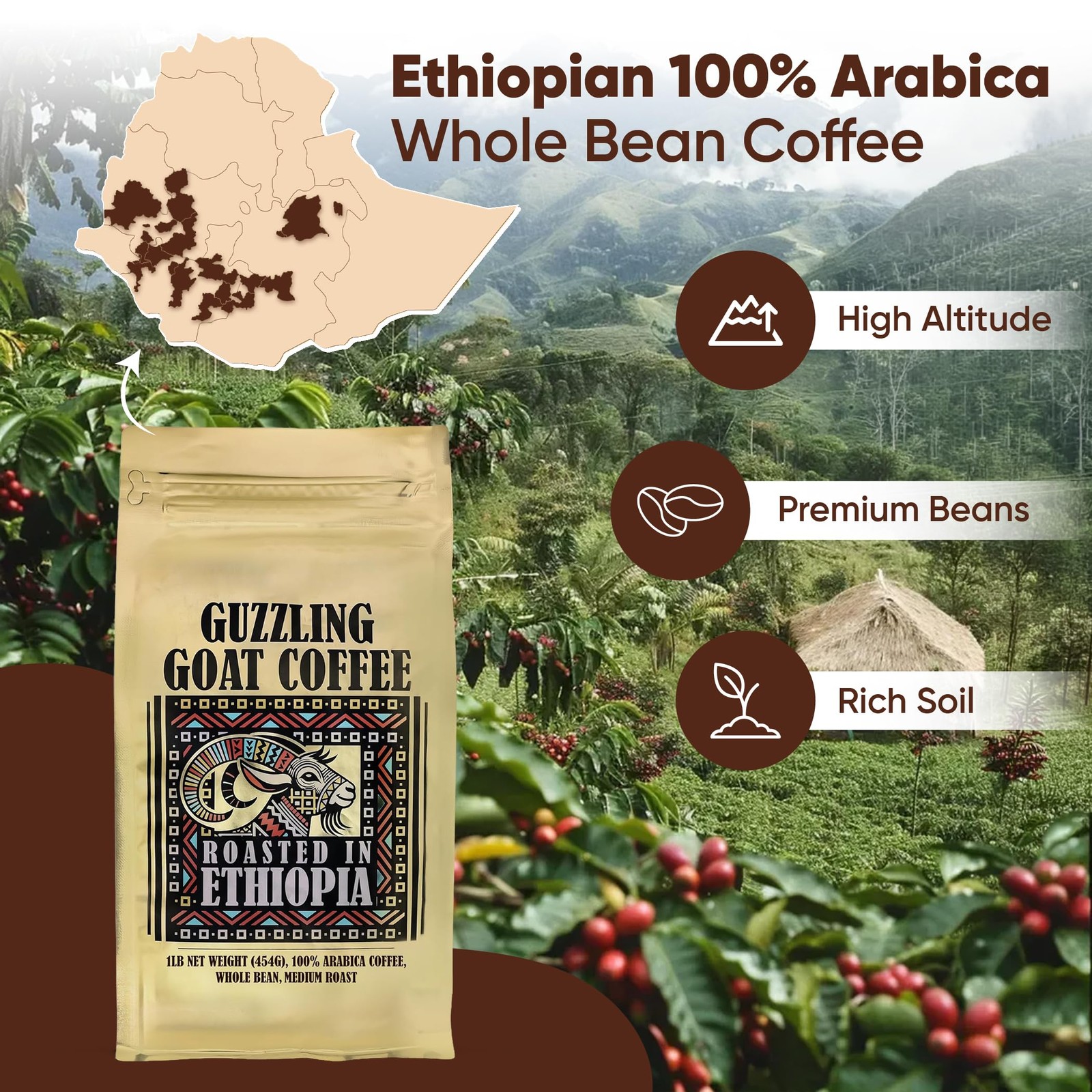 Guzzling Goat Premium Ethiopian Medium Roast Whole Bean Arabica Coffee Beans Box