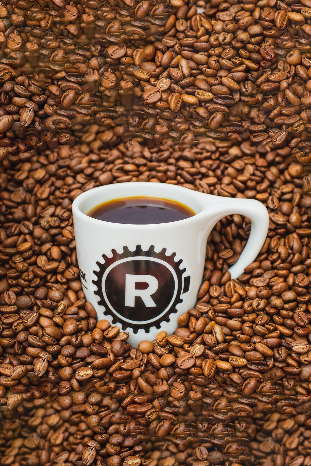 Rothrock Coffee – Singlespeed – Medium Roast – Whole Bean Coffee – For Espres…