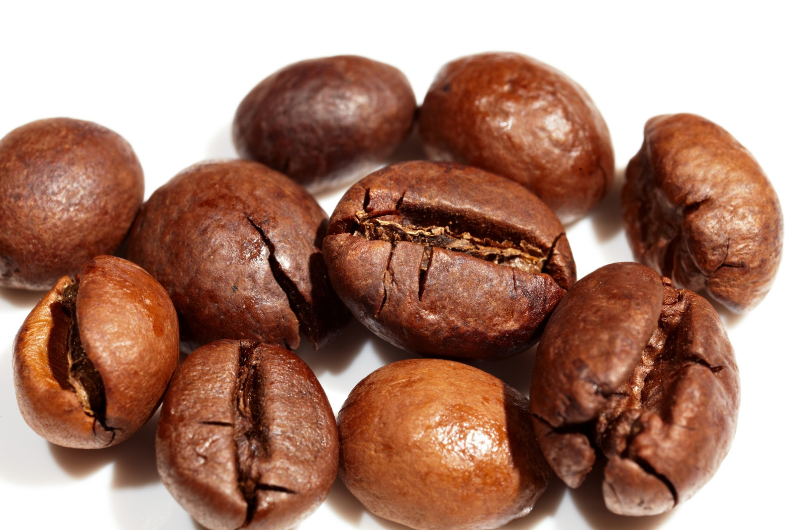 2026 COFFEE – COLOMBIAN SUPREMO – 4 BAGS – FRESH ROASTED COFFEE BEANS