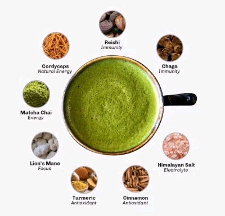 MUDWTR Organic Matcha Mushroom Coffee Alternative – 2.5oz
