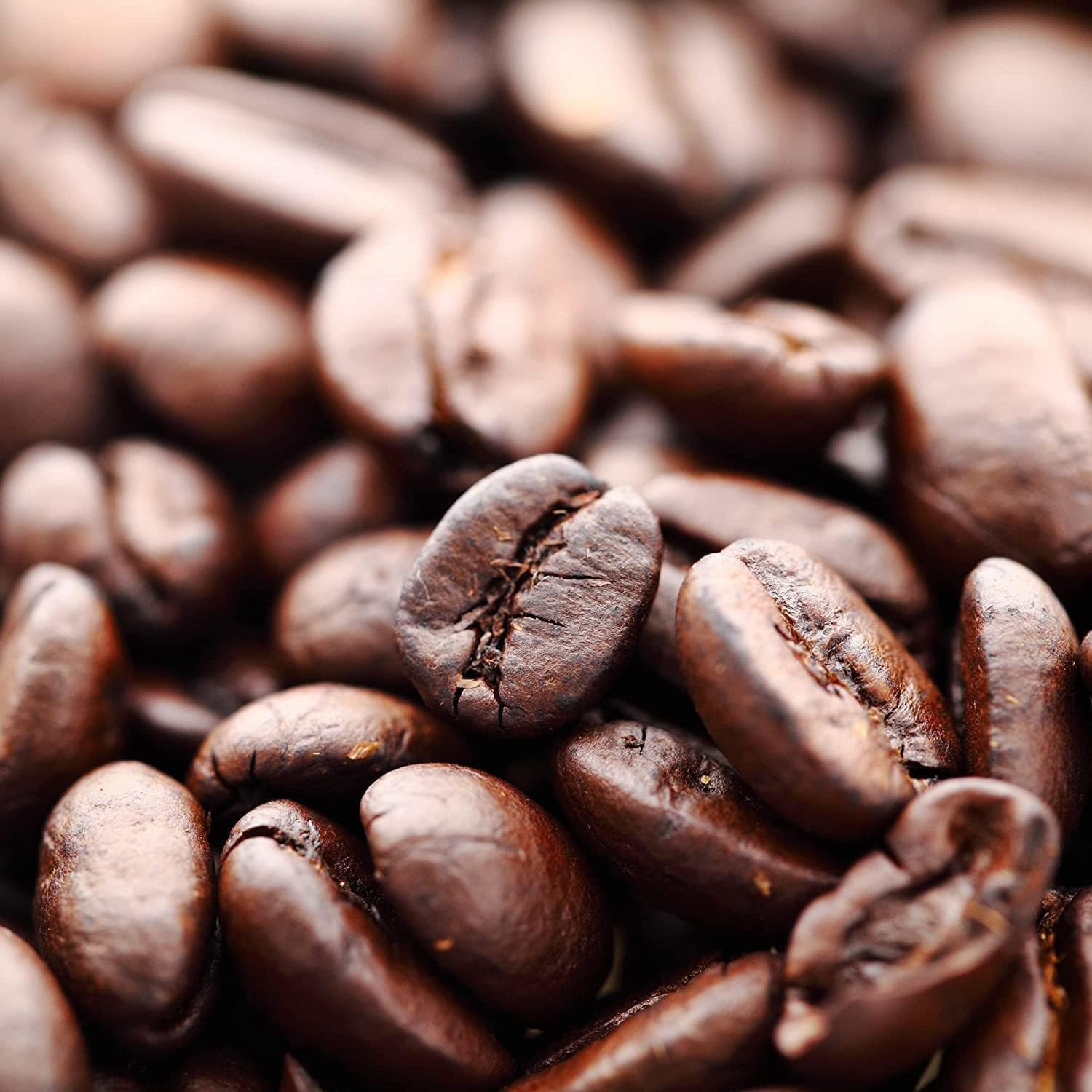 Premium Hazelnut Vanilla Whole Bean Coffee, 2 LB