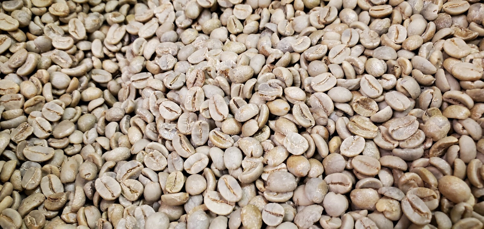 5 LB BRAZIL BRASIL BRAZILIAN UNROASTED GREEN COFFEE BEANS – ARABICA