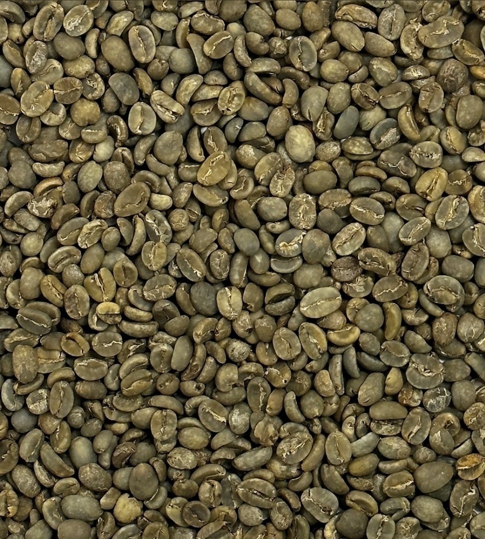 Green Coffee Beans / Bali Blue Moon Kintamani Highlands / 1 Pound / UNROASTED