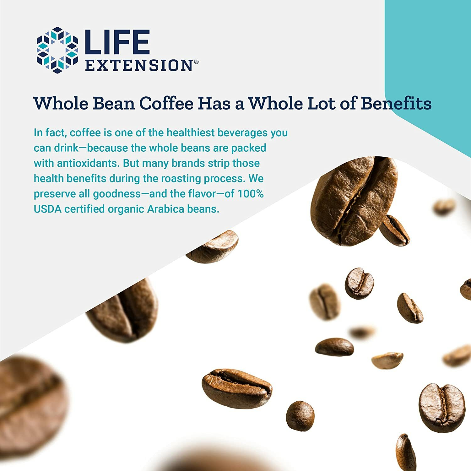 Life Extension Rainforest Blend Whole Bean Coffee Organic 12 Ounces 2 Pack