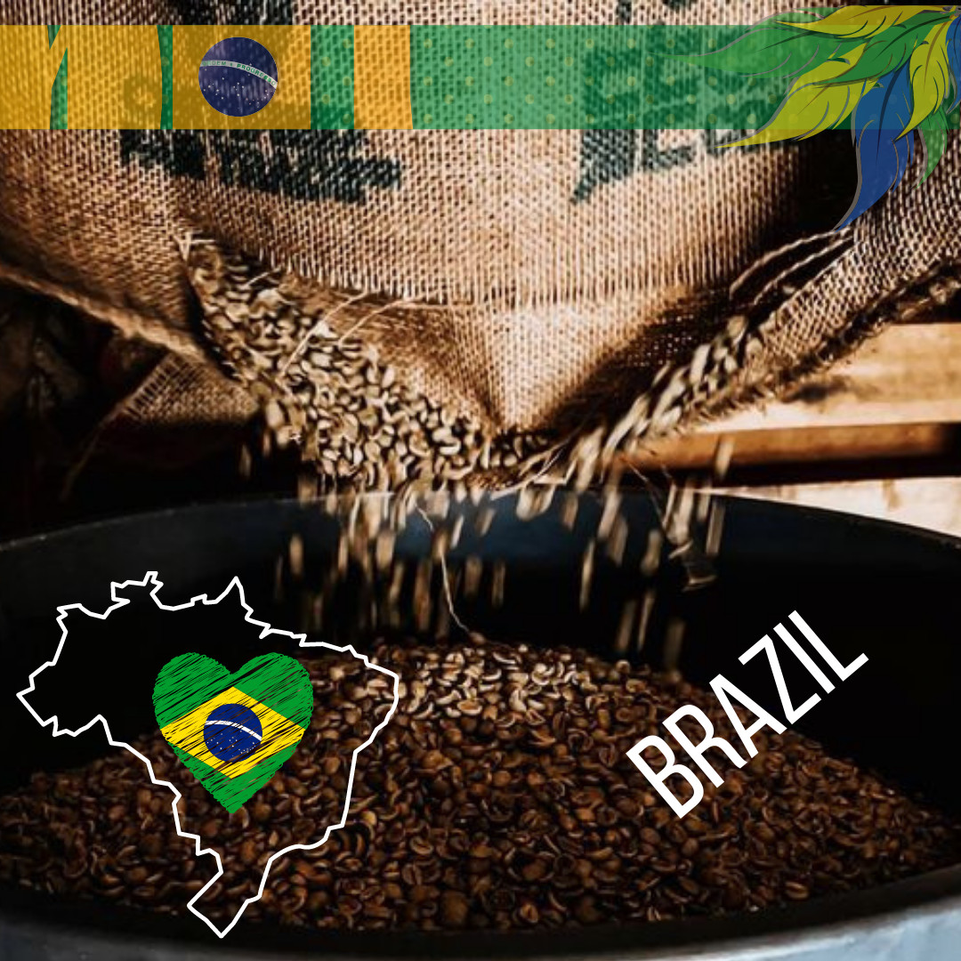 BRAZIL CERRADO COFFEE BEANS UNROASTED-GREEN COFFEE BEANS 15/16