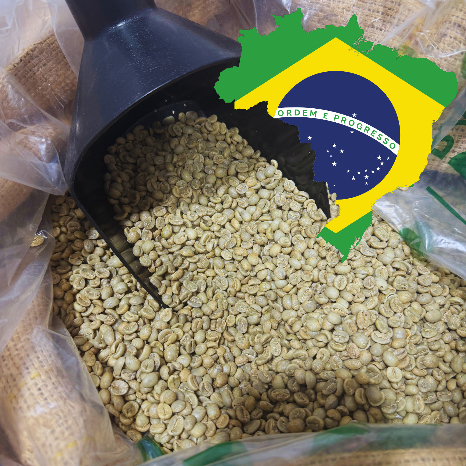 2 LB BRAZIL, UNROASTED GREEN COFFEE BEANS TWO POUND – ARABICA, SPECIALTY