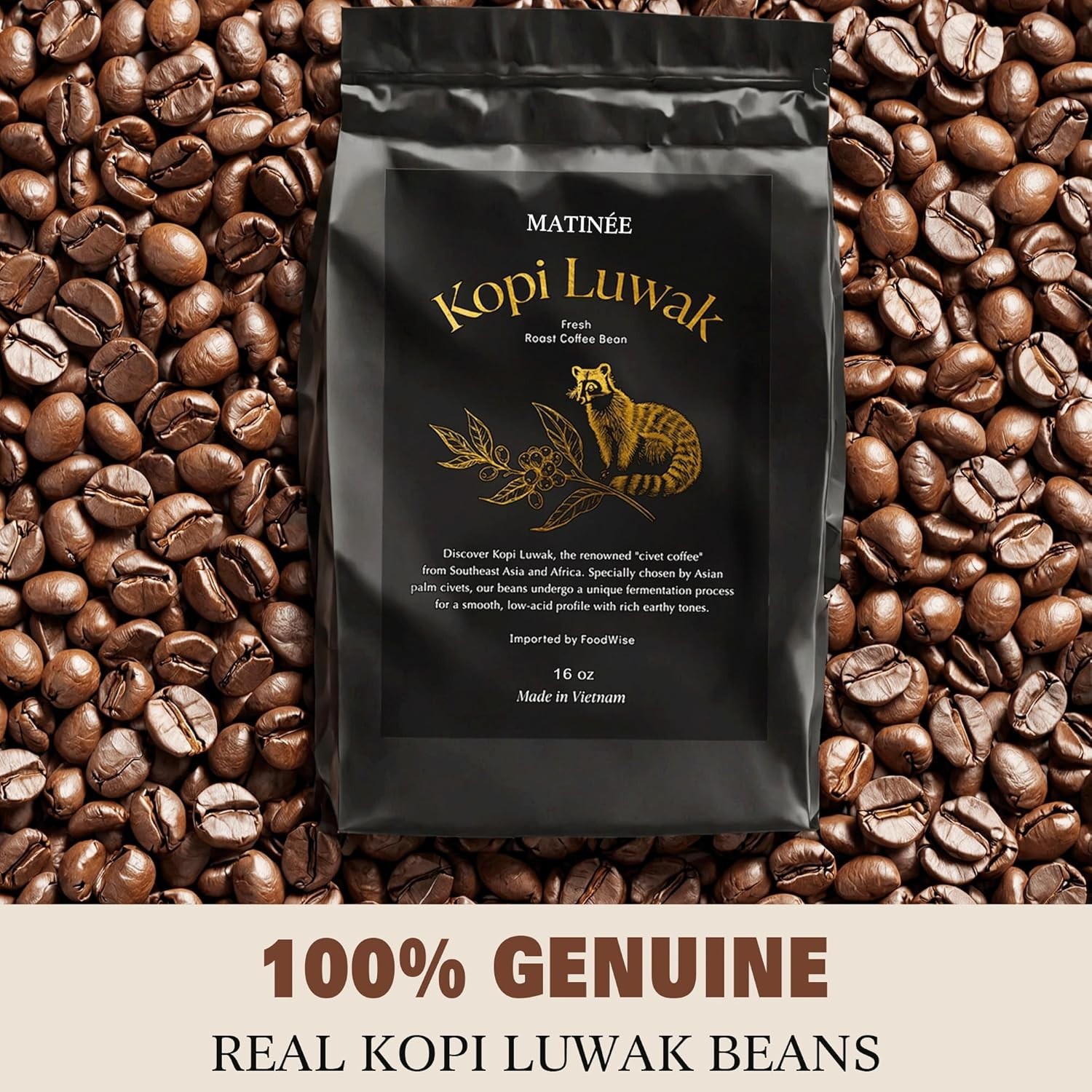 Luxury Sustainably Sourced Kopi Luwak 16oz