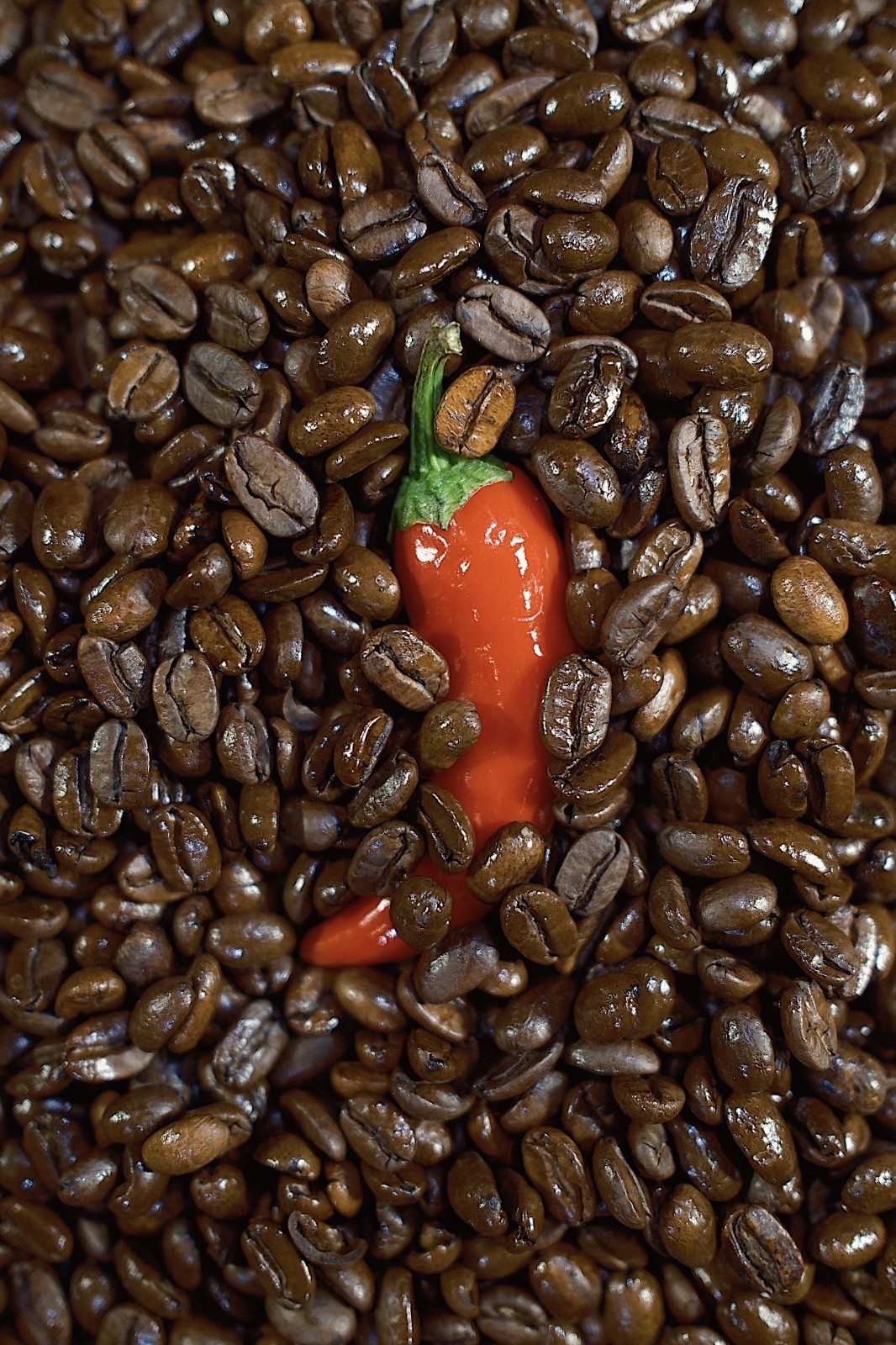 Coffee from Mexico with a mild chili ‘kick’ (medium roast)