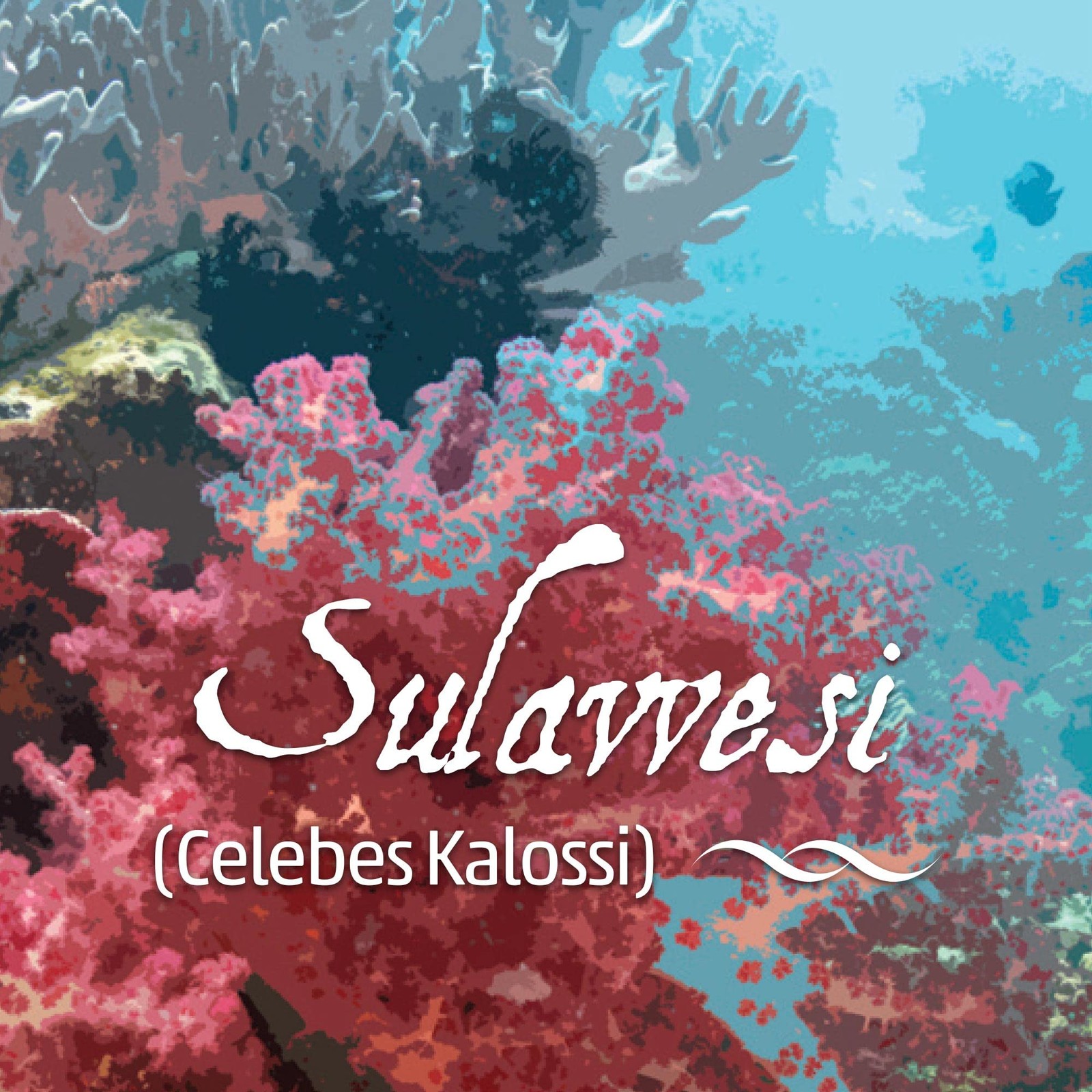 Sulawesi Celebes Kalossi Coffee Fresh Roasted Whole Bean 16 Ounces Beverage