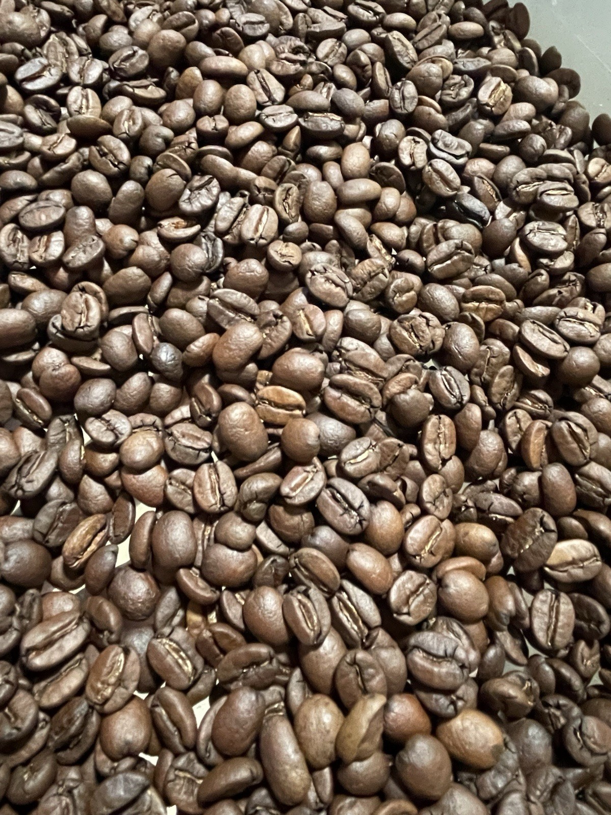 High Quality Coffee – Brazilian Specialty Coffee – Whole bean or Ground