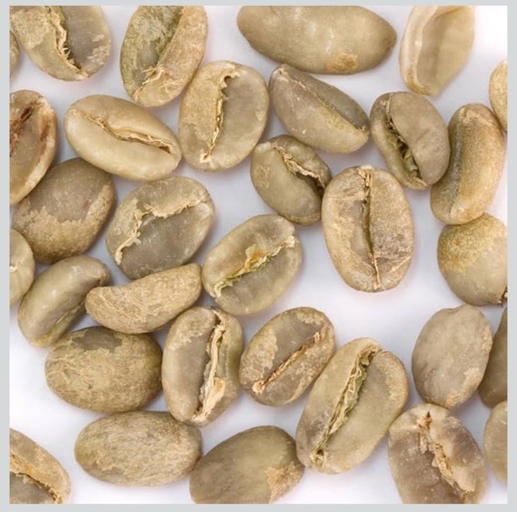 1/2 lb Certified 100% Yirgacheffe (Ethiopia) Coffee—Freshly Roasted To Order!