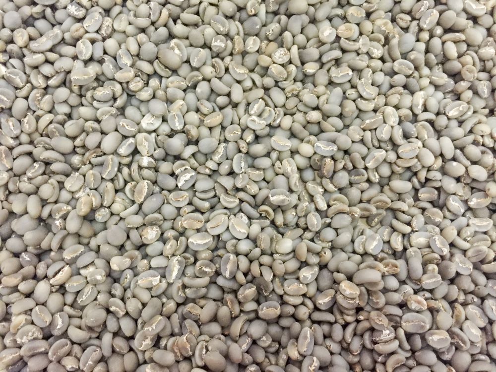 2lb/40lb – Sulawesi – Specialty Grade – Premium Unroasted Green Coffee Beans