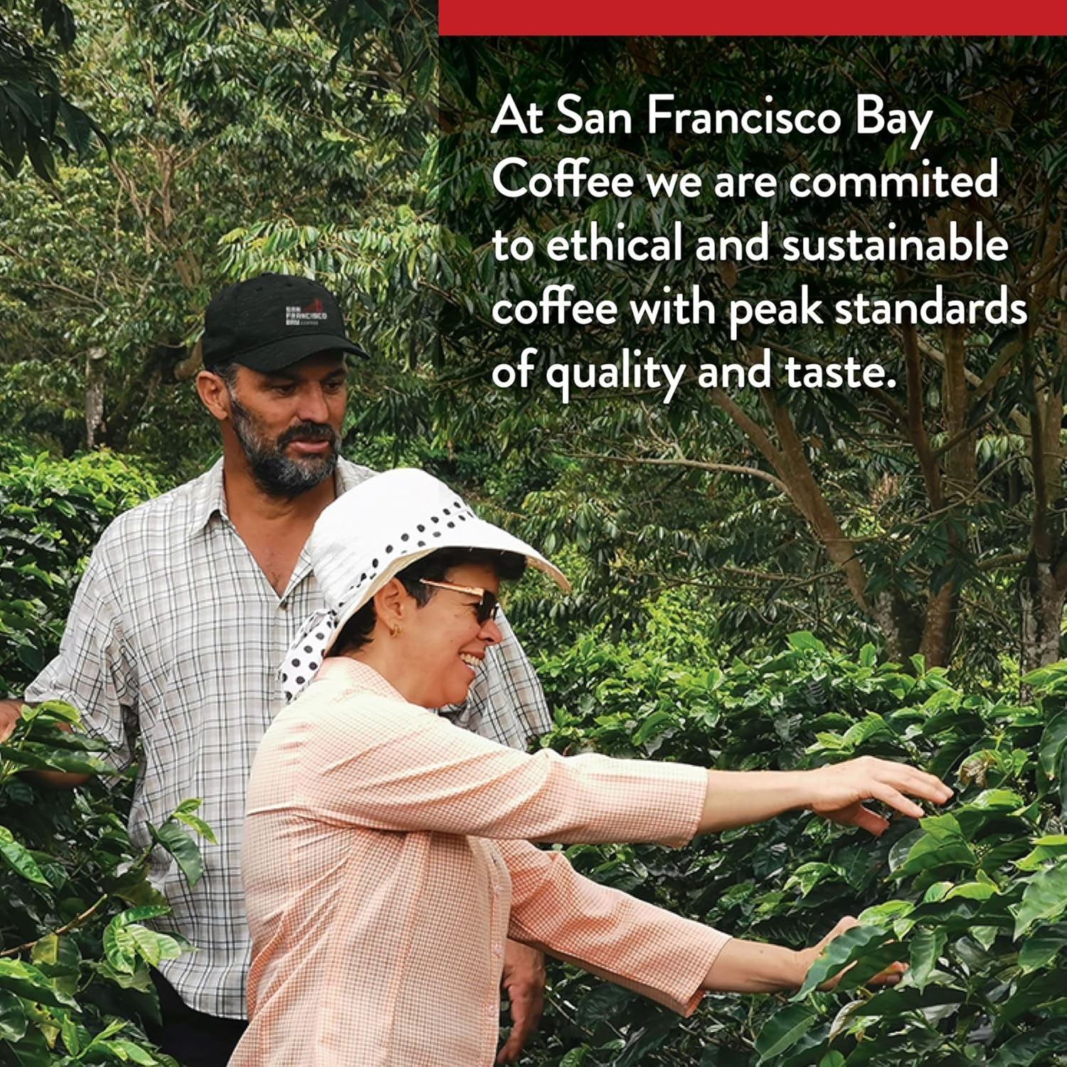San Francisco Bay Coffee DECAF French Roast Ground Coffee, 28 oz Bag,…