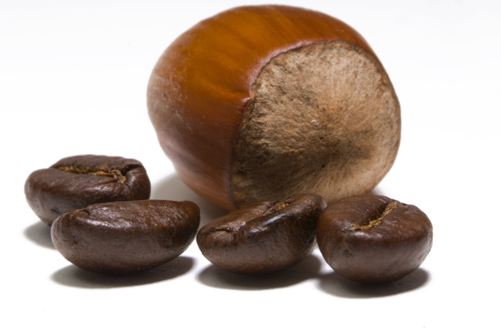 2025 1 Bag Flavored Hazelnut Creme Coffee – Fresh Roasted Coffee Beans – 12 ozs