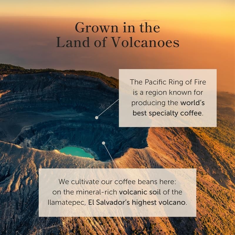 Savor 16 oz of Single Origin El Salvador Coffee – Medium Roast, Creamy & Nutty