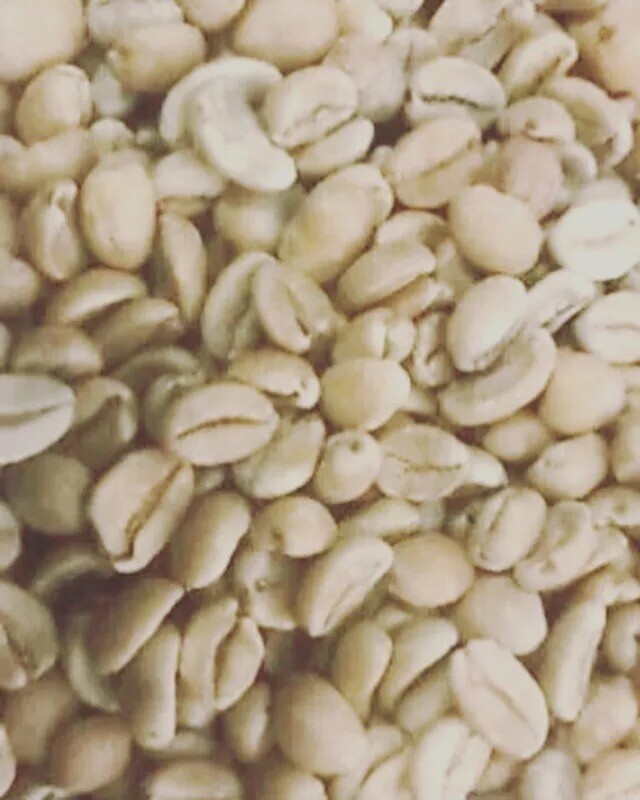 #5 lbs UNROASTED Brazil Santos 100% Arabica – GREEN COFFEE BEANS 2024