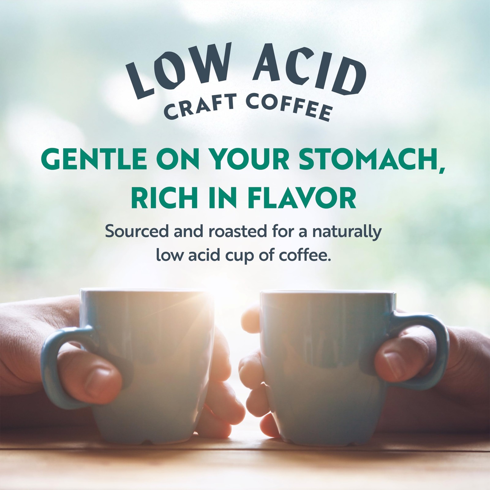 Clean Coffee Co. – Low 12 Ounce (Pack of 1), Honduran El Jaguar, Whole Bean