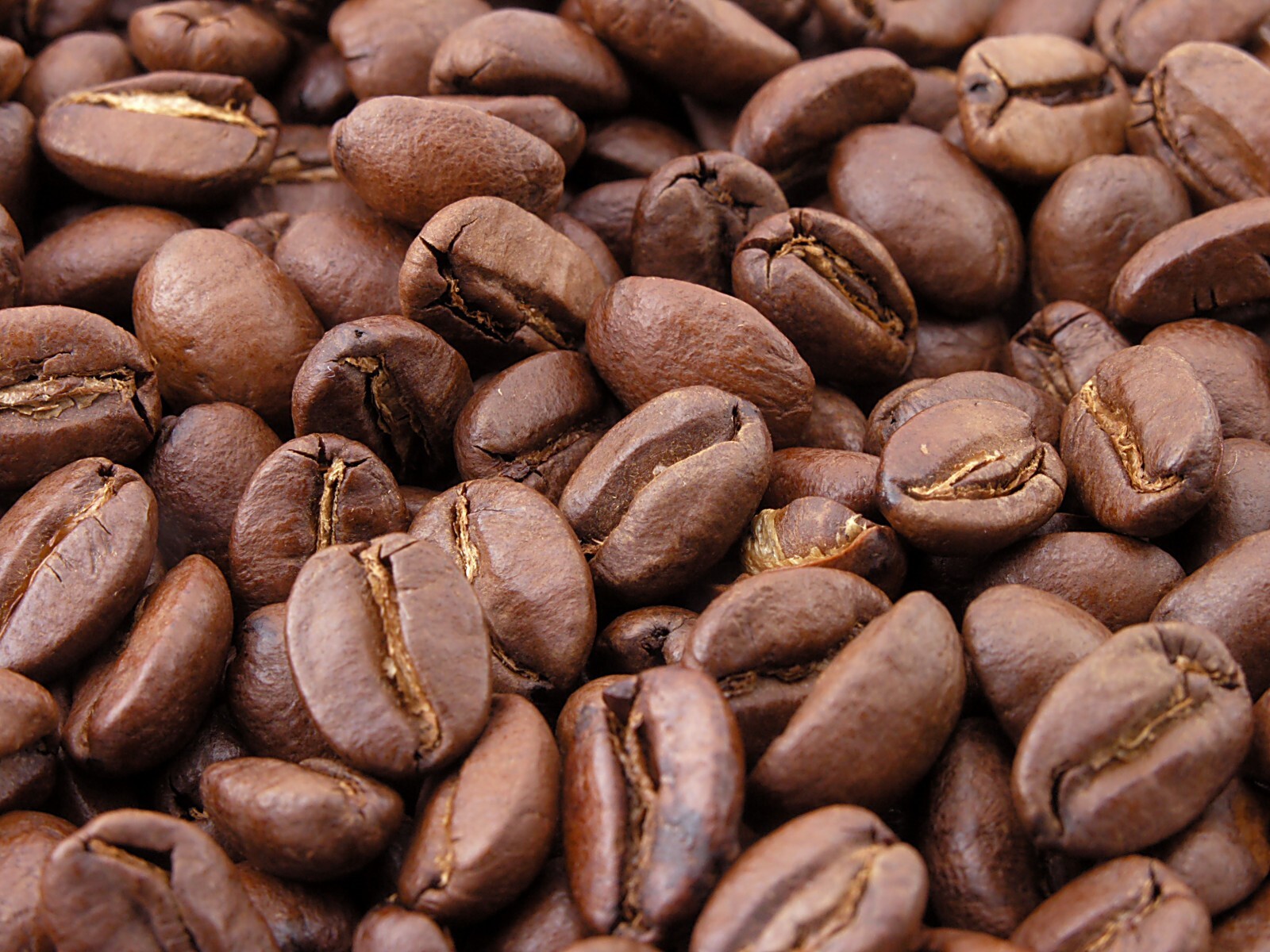 4 Oz. Coffee Beans, Local to Ohio, Whole bean or ground, May Edition
