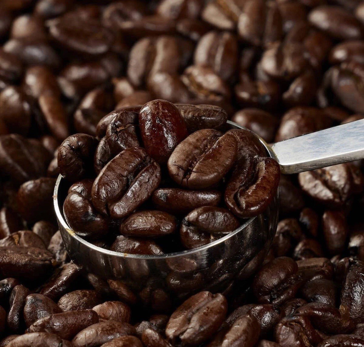 Kirkland Signature Colombian Supremo Coffee, Whole Bean, 3 lbs Medium Roast USA