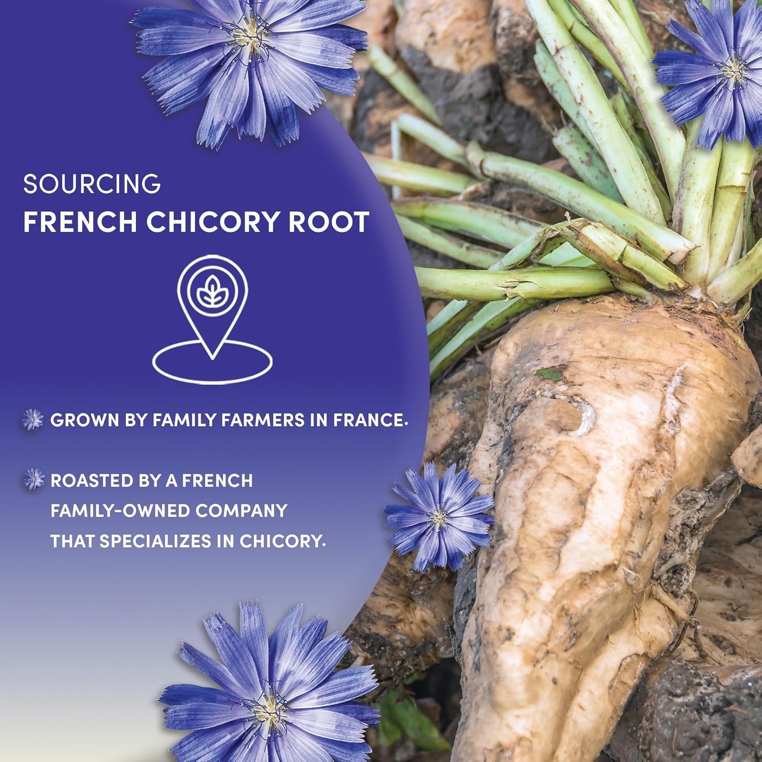 Worldwide Botanicals French Chicory Root 1lb, Coffee Alternative Kosher