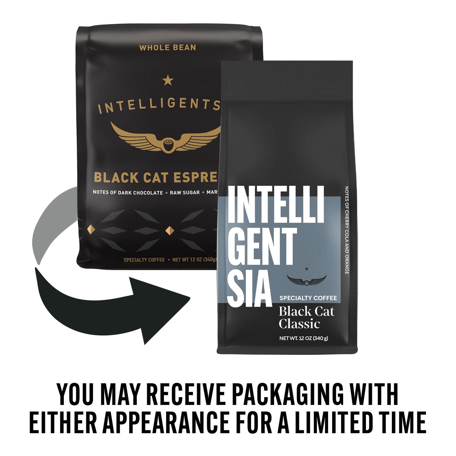 Intelligentsia Coffee, 12 Ounce (Pack of 1), Black Cat Classic Espresso, WB