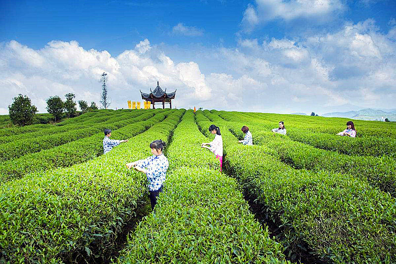 100% Vietnam Instant G7 Coffee Imported Original Packaging Hot Sale Black COFFEE