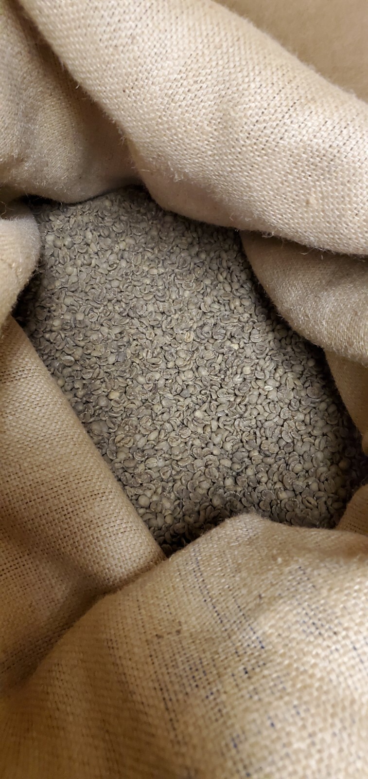 5 LB BRAZIL SWP SWISS WATER PROCESS UNROASTED GREEN COFFEE BEANS – ARABICA DECAF