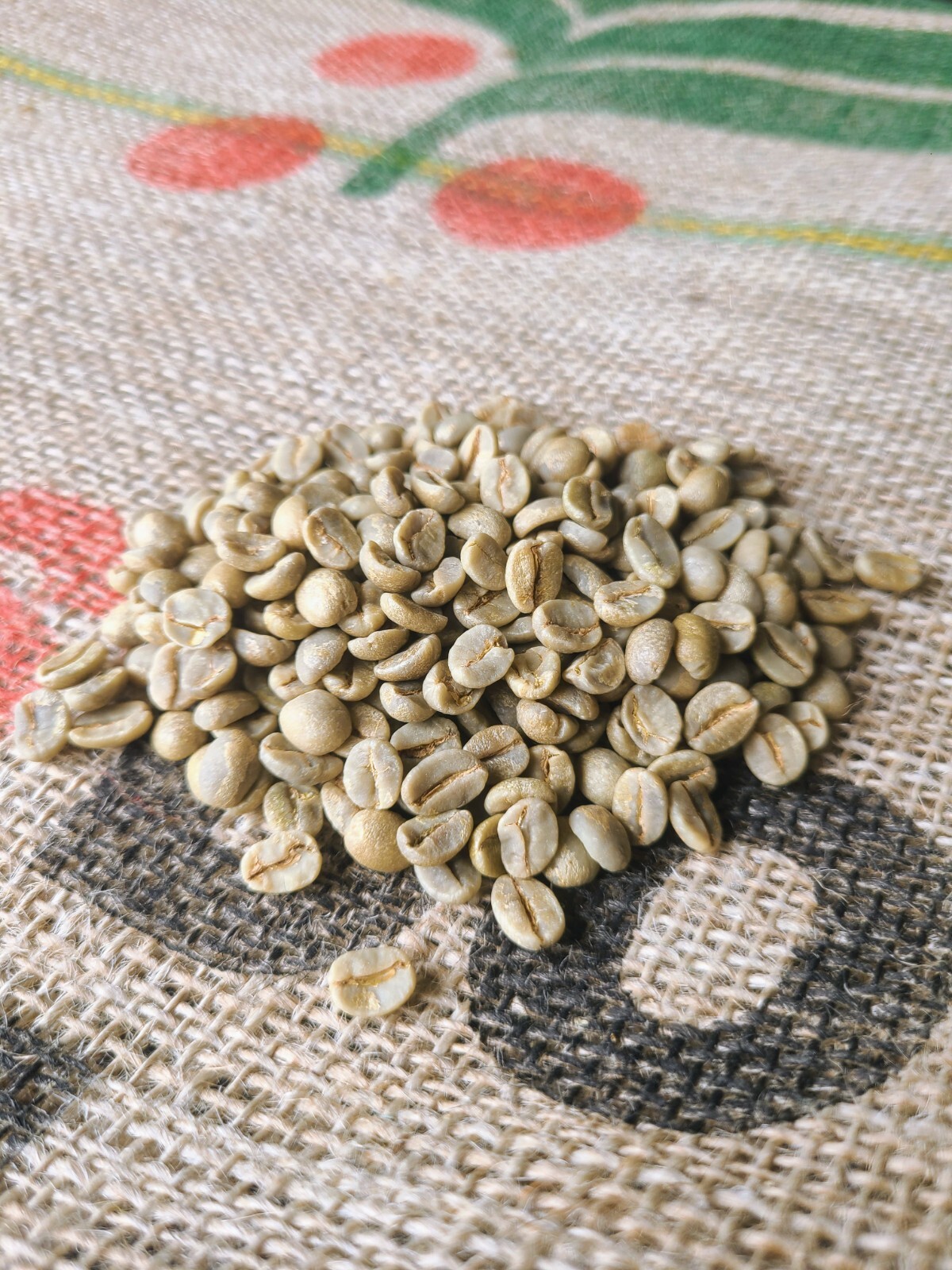 BRAZIL CERRADO COFFEE BEANS UNROASTED-GREEN COFFEE BEANS 15/16
