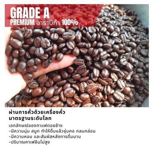 2X 100% Authentic Doi Chang Coffee Light/Medium /Dark, Arabica Coffee Beans 250g