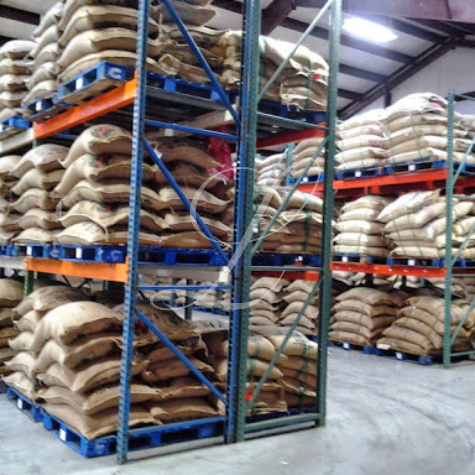 5 lbs of AUTHENTIC & FRESH Kona Extra Fancy Coffee – Customize Your Order!