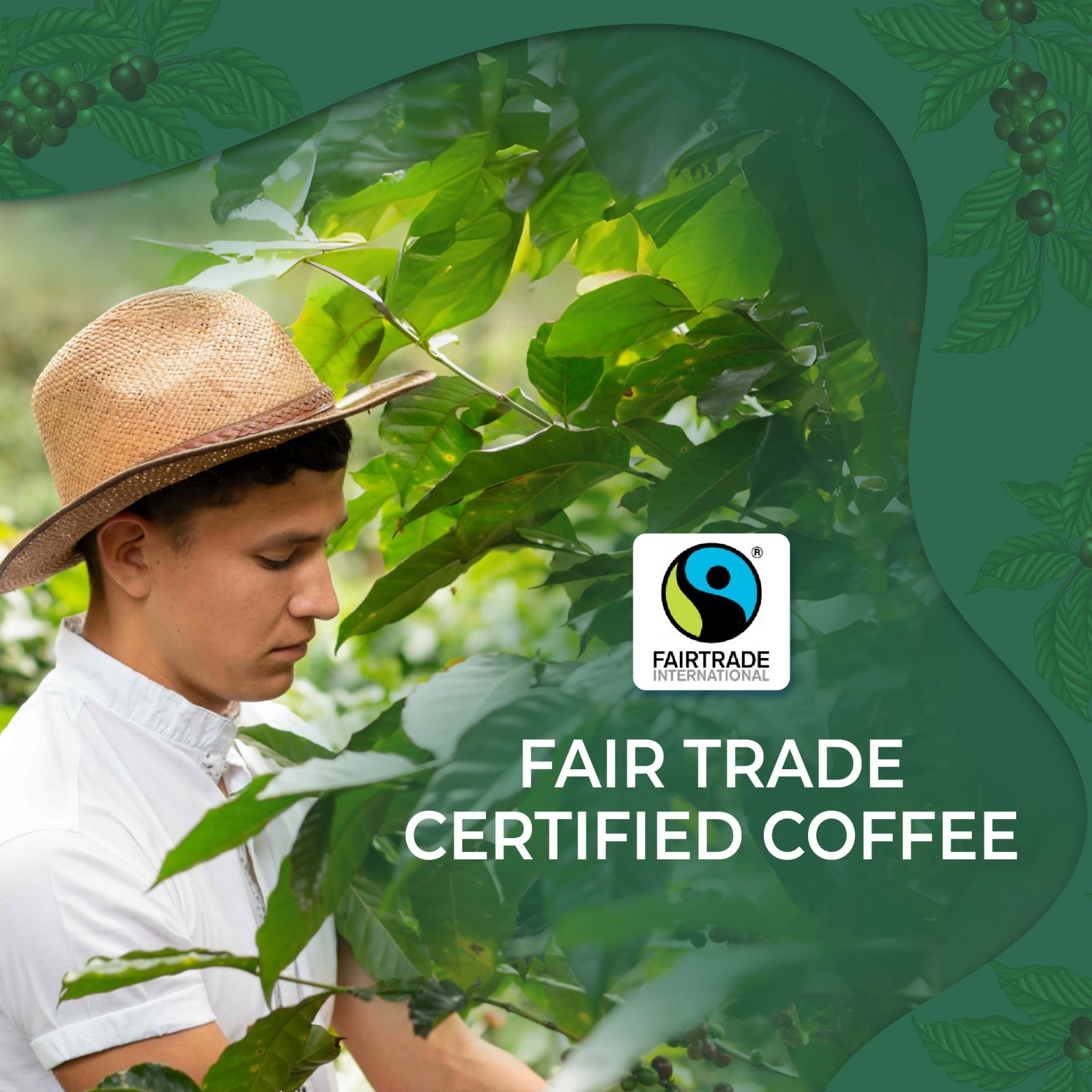 Coffee from Costa Rica Medium Roast Ground, Roasted Fresh in South Carolina