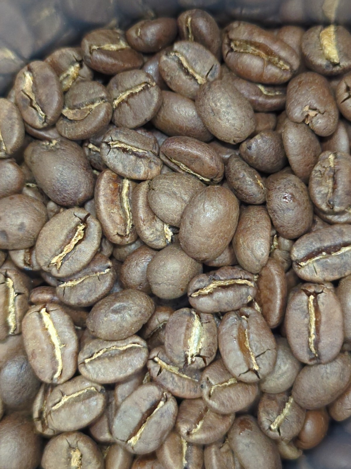 Ethiopian Sidamo Natural processed EXOTIC 2lbs Light Roast Whole Bean Coffee 2#