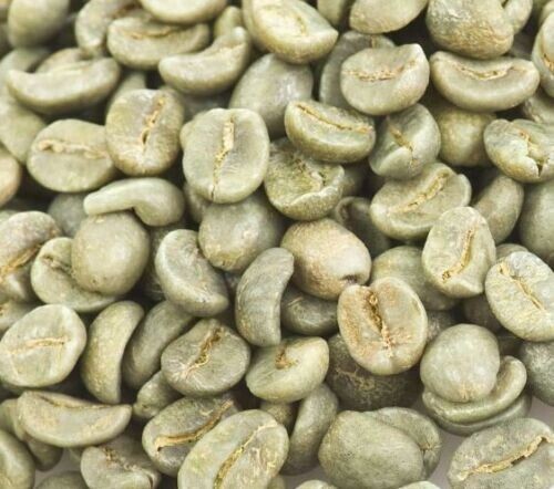 5 LB COLOMBIA COLOMBIAN EXCELSO EP 16+ UNROASTED GREEN COFFEE – ARABICA BEAN
