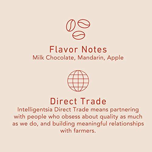 Intelligentsia House Blend Whole Bean Coffee 12 Ounce Bag Direct Trade Freshness