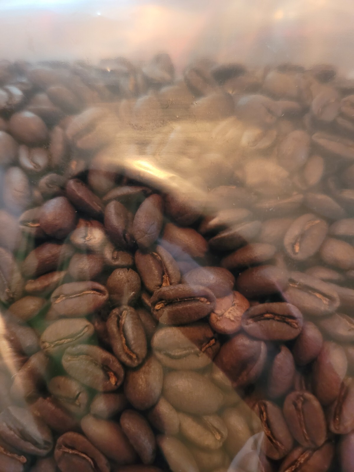 Panama La Esmeralda GEISHA coffee beans Roasted to Order 8oz by Muth Rosten Haus