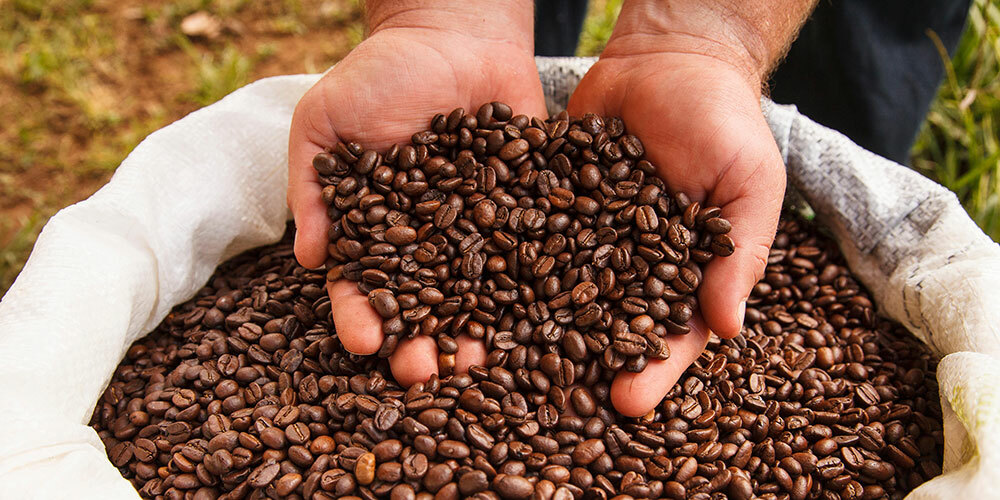 3 LB BEST SELLER SAMPLE PACK PERU, BRAZIL, COLOMBIA ROASTED COFFEE – ARABICA