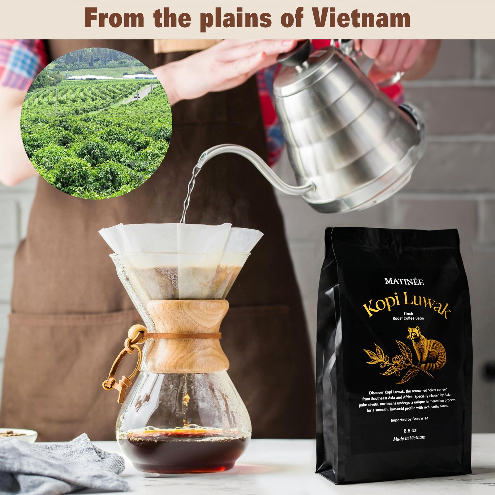 Sustainable Wild Kopi Luwak Coffee Beans, Medium Roast, 8.8oz / 250g