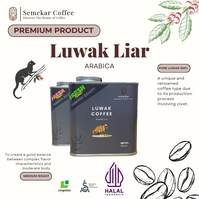 200gr / 500gr Wild Luwak Coffee Arabica Aceh – Premium Medium Roast in Tin Box