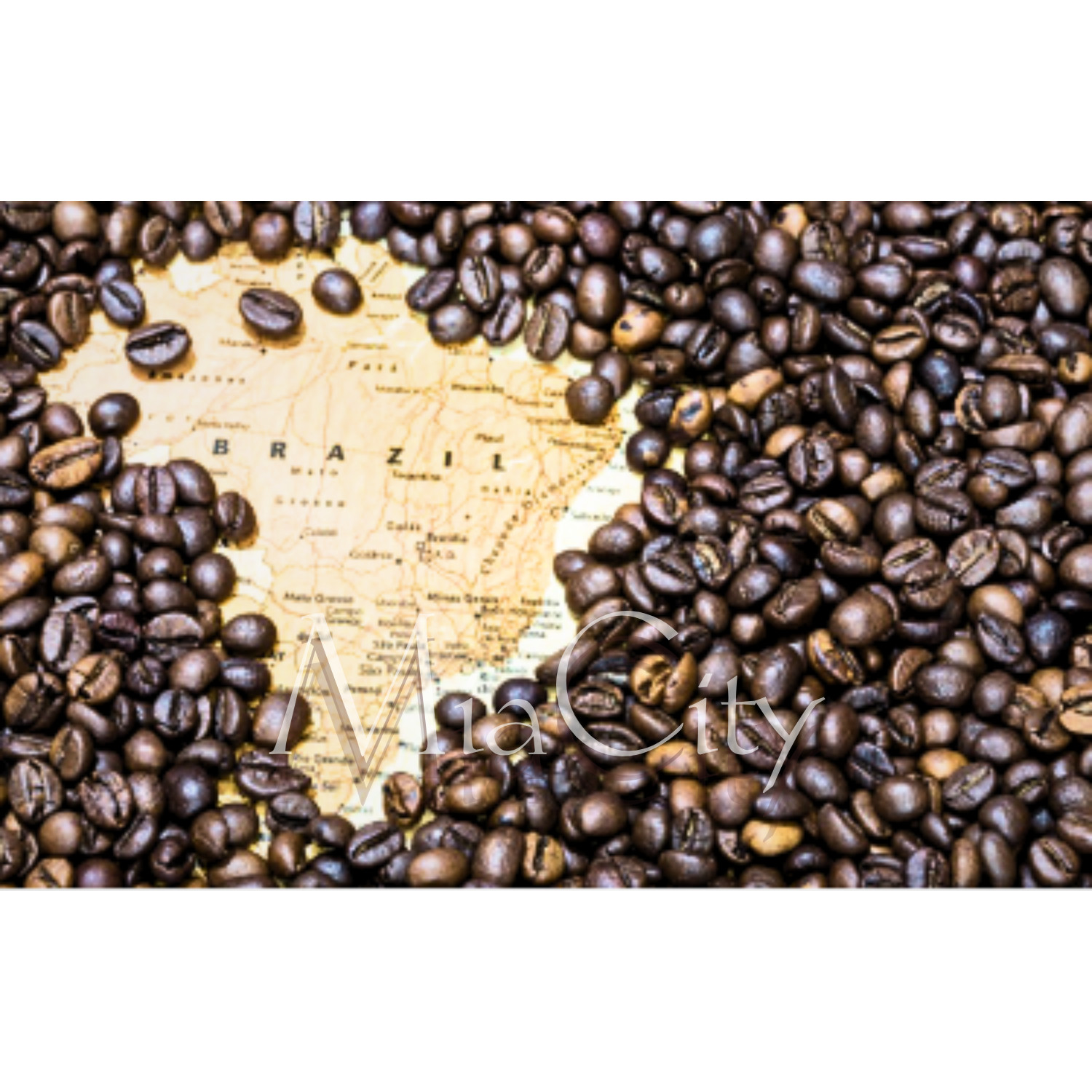 Coffee Brazil Santos Arabica,Fine, Natural Process,Fresh Roast,Medium Dark 100 g