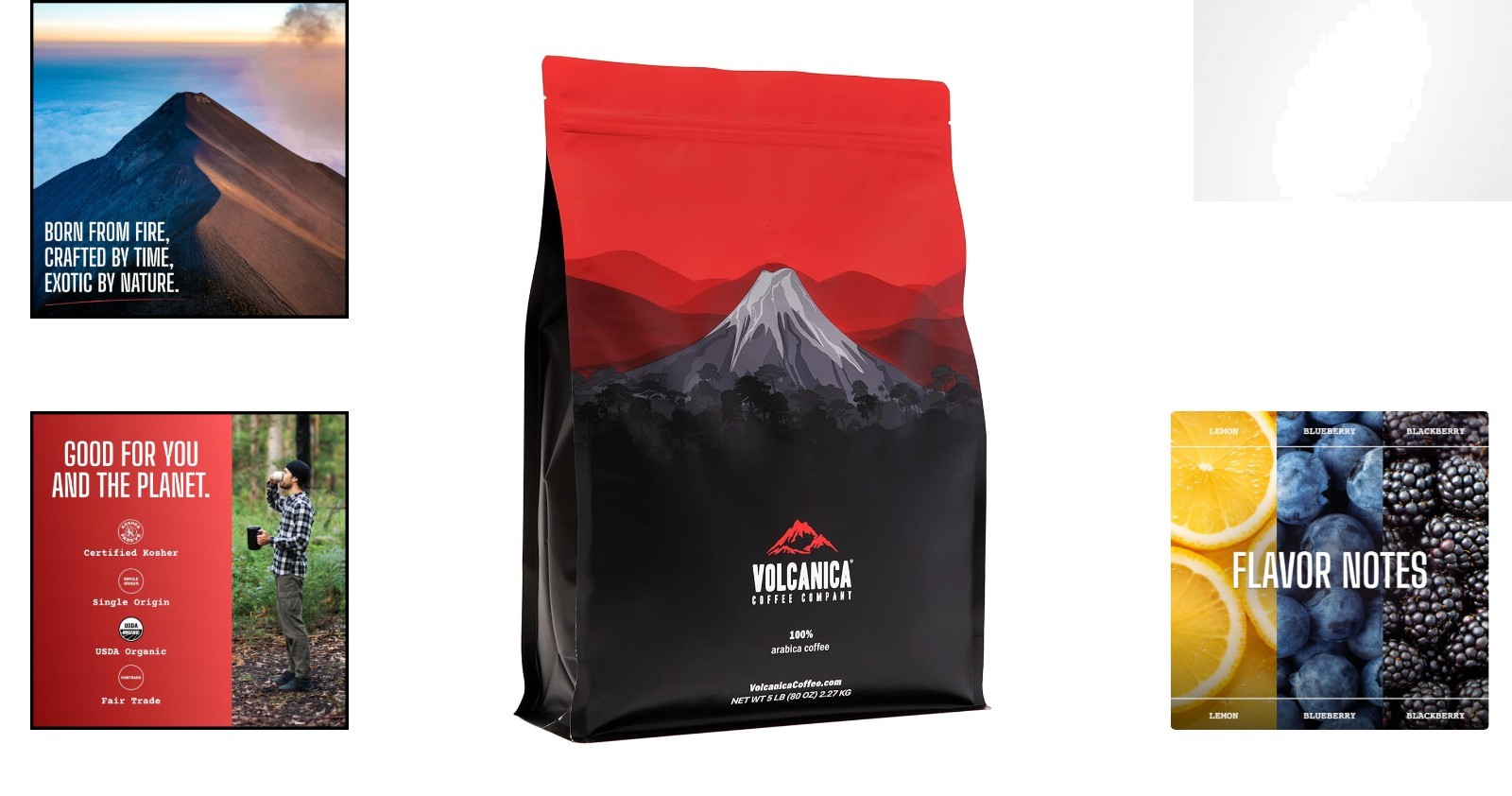 USDA Organic Ethiopian Coffee – Yirgacheffe Whole Bean, Fresh Roasted 5 lbs
