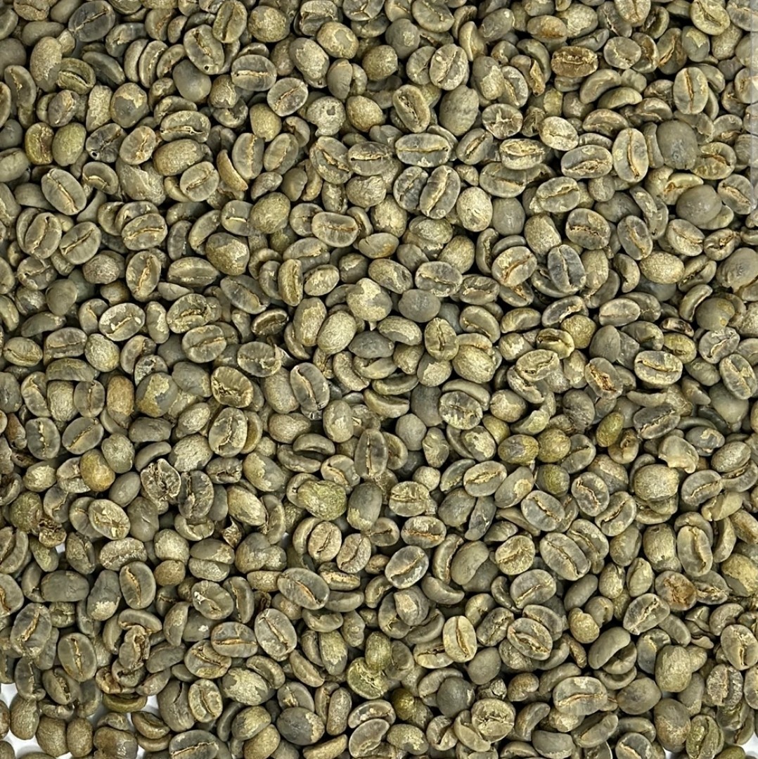 Green Coffee Beans / Brazilian Sul de Minas/1 Pound / UNROASTED